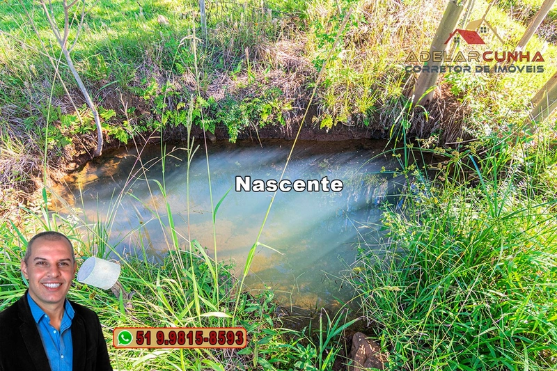 Sítio de 6.5 hectares à Venda em Taquara - RS: 12ª foto da galeria de imagens do imóvel