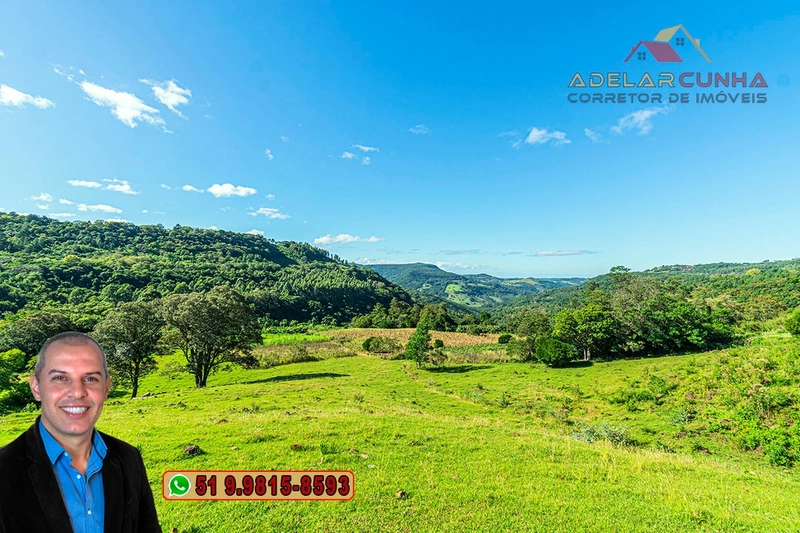 Sítio de 6.5 hectares à Venda em Taquara - RS: 1ª foto da galeria de imagens do imóvel
