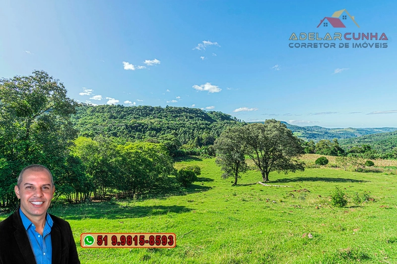 Sítio de 6.5 hectares à Venda em Taquara - RS: 9ª foto da galeria de imagens do imóvel