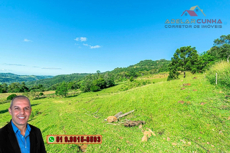 Sítio de 6.5 hectares à Venda em Taquara - RS: 10ª foto da galeria de imagens do imóvel
