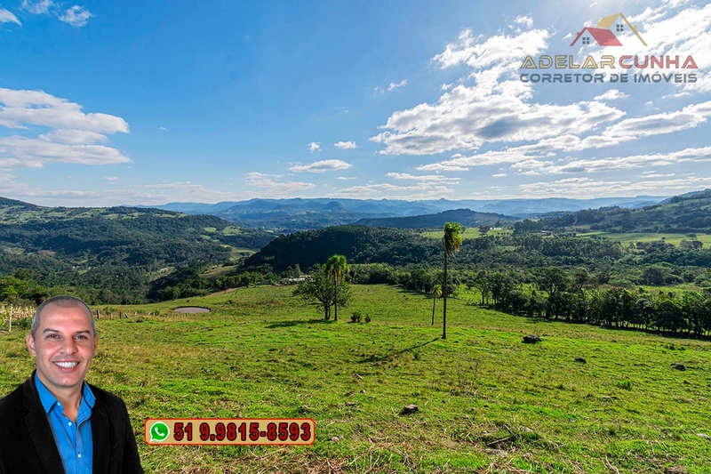Sítio de 4.7 hectares à Venda em Igrejinha - RS: 9ª foto da galeria de imagens do imóvel