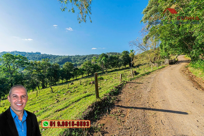 Sítio de 4.7 hectares à Venda em Igrejinha - RS: 31ª foto da galeria de imagens do imóvel