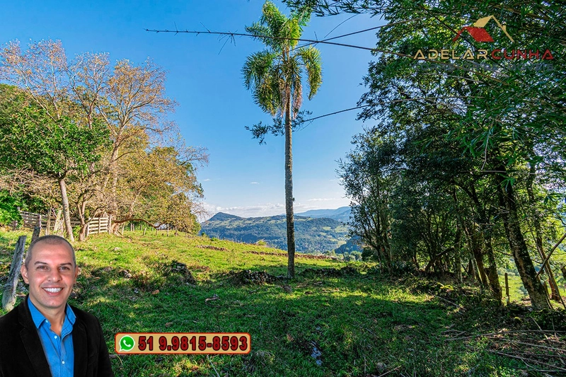 Sítio de 4.7 hectares à Venda em Igrejinha - RS: 12ª foto da galeria de imagens do imóvel