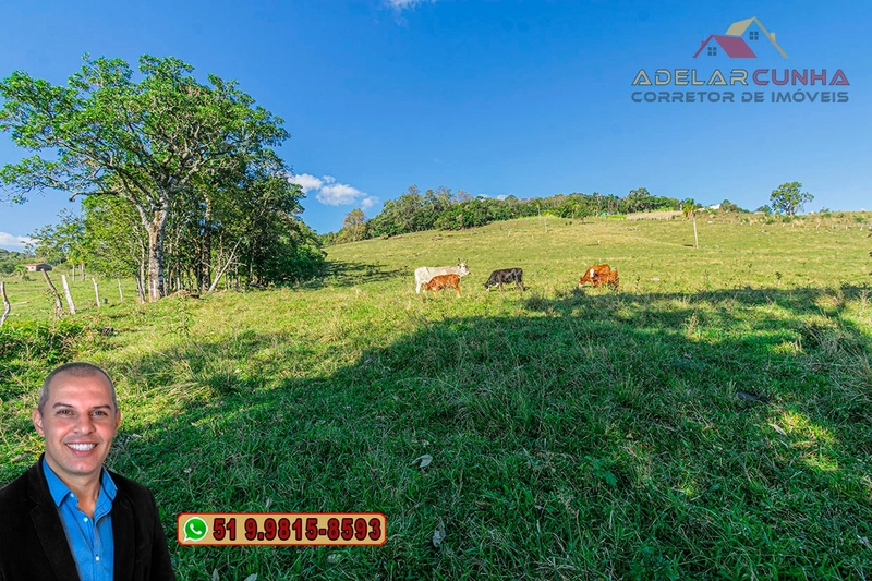 Sítio de 4.7 hectares à Venda em Igrejinha - RS: 17ª foto da galeria de imagens do imóvel