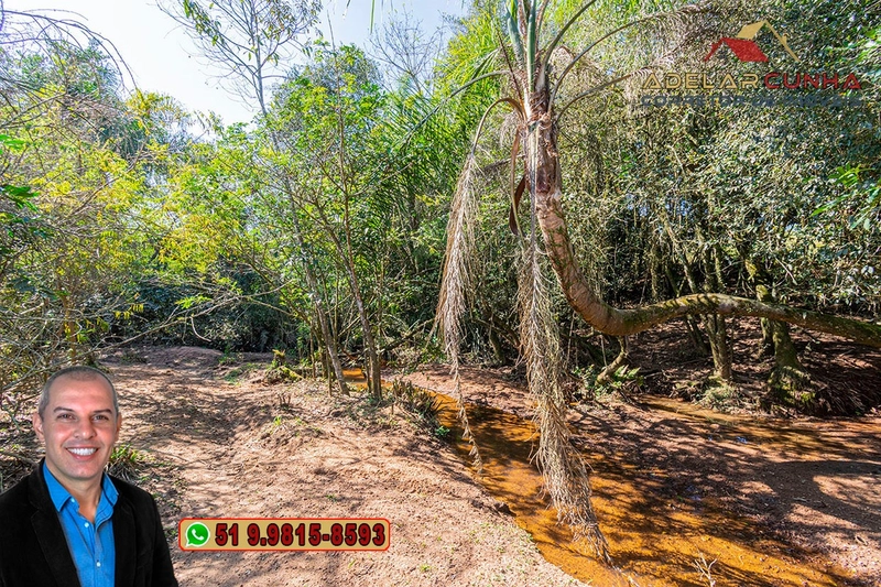 Sítio de 9.6 hectares à Venda em Sapiranga - RS: 27ª foto da galeria de imagens do imóvel