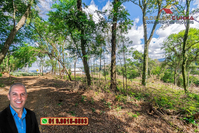 Terreno Comercial de 8.000m² com frente para RS-115 à Venda em Igrejin: 8ª foto da galeria de imagens do imóvel