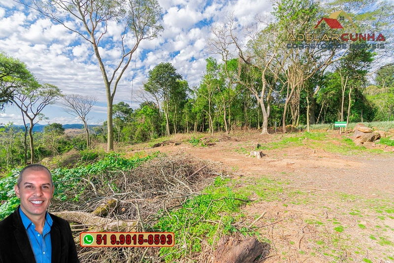Terreno Comercial de 8.000m² com frente para RS-115 à Venda em Igrejin: 11ª foto da galeria de imagens do imóvel