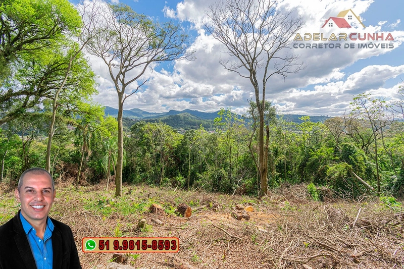 Terreno Comercial de 8.000m² com frente para RS-115 à Venda em Igrejin: 15ª foto da galeria de imagens do imóvel