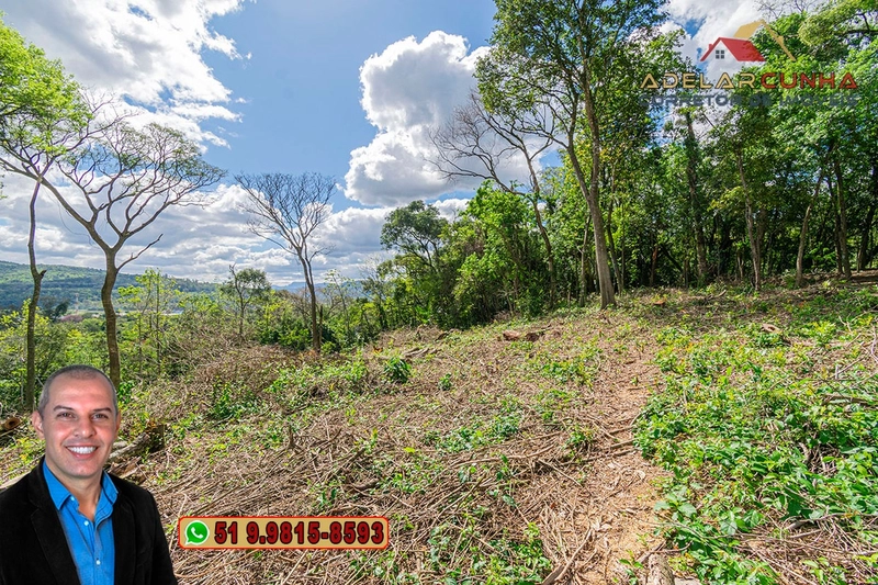 Terreno Comercial de 8.000m² com frente para RS-115 à Venda em Igrejin: 14ª foto da galeria de imagens do imóvel