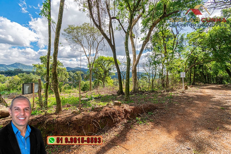Terreno Comercial de 8.000m² com frente para RS-115 à Venda em Igrejin: 9ª foto da galeria de imagens do imóvel