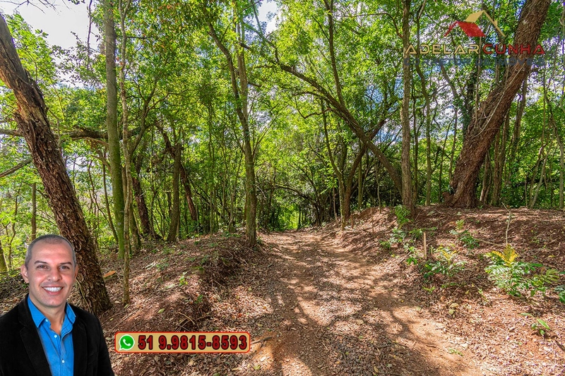 Terreno Comercial de 8.000m² com frente para RS-115 à Venda em Igrejin: 6ª foto da galeria de imagens do imóvel