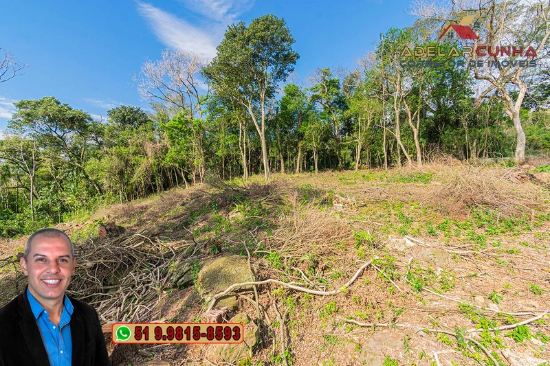 Terreno Comercial de 8.000m² com frente para RS-115 à Venda em Igrejin: 19ª foto da galeria de imagens do imóvel