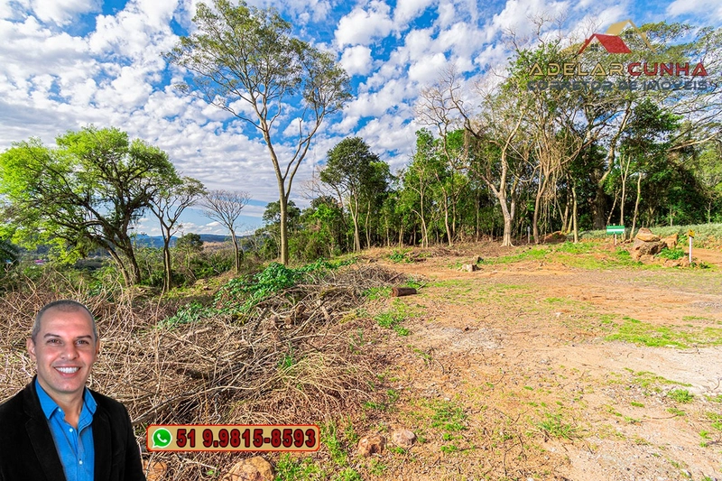 Terreno Comercial de 8.000m² com frente para RS-115 à Venda em Igrejin: 10ª foto da galeria de imagens do imóvel