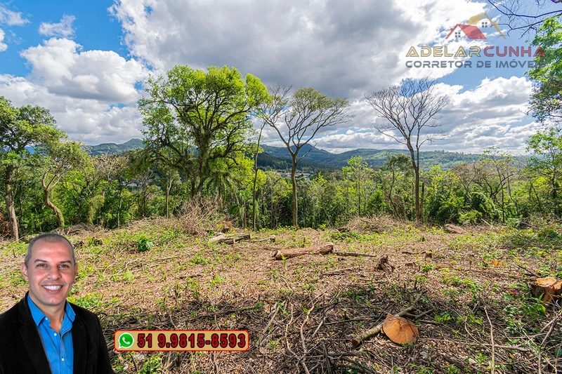 Terreno Comercial de 8.000m² com frente para RS-115 à Venda em Igrejin: 13ª foto da galeria de imagens do imóvel
