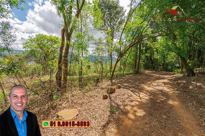 Terreno Comercial de 8.000m² com frente para RS-115 à Venda em Igrejin: 7ª foto da galeria de imagens do imóvel