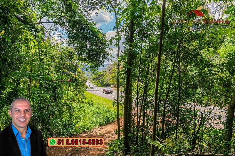 Terreno Comercial de 8.000m² com frente para RS-115 à Venda em Igrejin: 4ª foto da galeria de imagens do imóvel