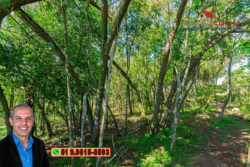 Sítio de 59.6 Hectares à Venda em Igrejinha, RS: 31ª foto da galeria de imagens do imóvel