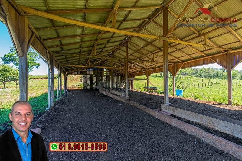Sítio de 59.6 Hectares à Venda em Igrejinha, RS: 15ª foto da galeria de imagens do imóvel