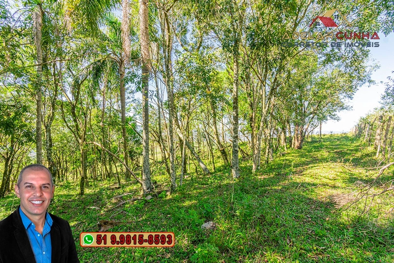 Sítio de 59.6 Hectares à Venda em Igrejinha, RS: 32ª foto da galeria de imagens do imóvel