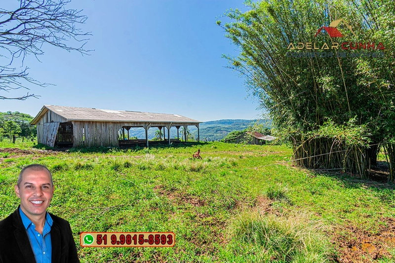 Sítio de 59.6 Hectares à Venda em Igrejinha, RS: 13ª foto da galeria de imagens do imóvel