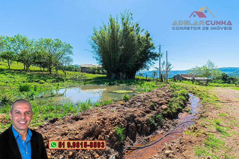 Sítio de 59.6 Hectares à Venda em Igrejinha, RS: 12ª foto da galeria de imagens do imóvel
