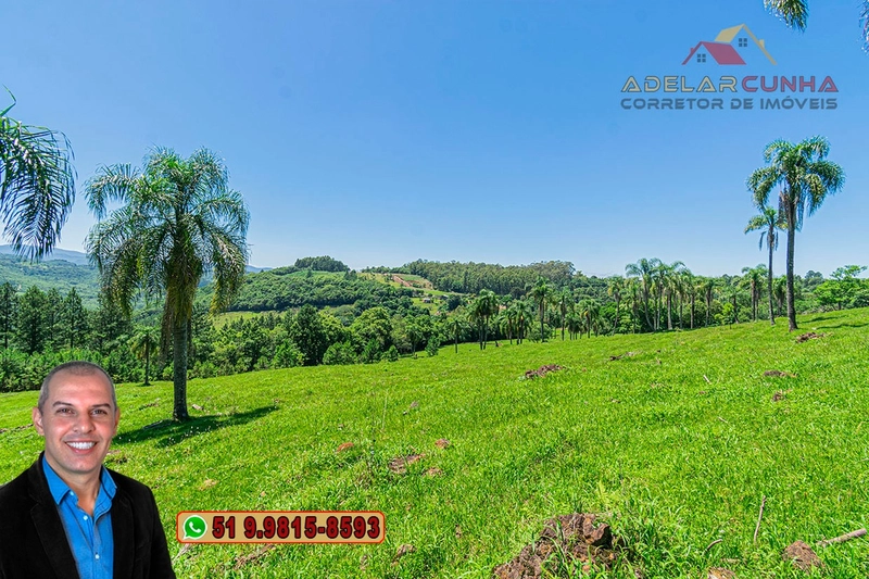 Sítio de 5.2 hectares à VENDA em Três Coroas - RS: 18ª foto da galeria de imagens do imóvel