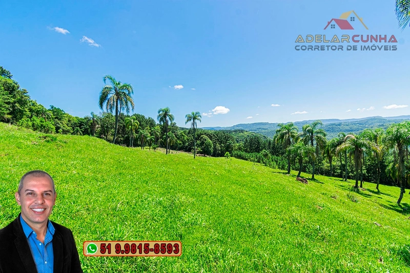 Sítio de 5.2 hectares à VENDA em Três Coroas - RS: 3ª foto da galeria de imagens do imóvel
