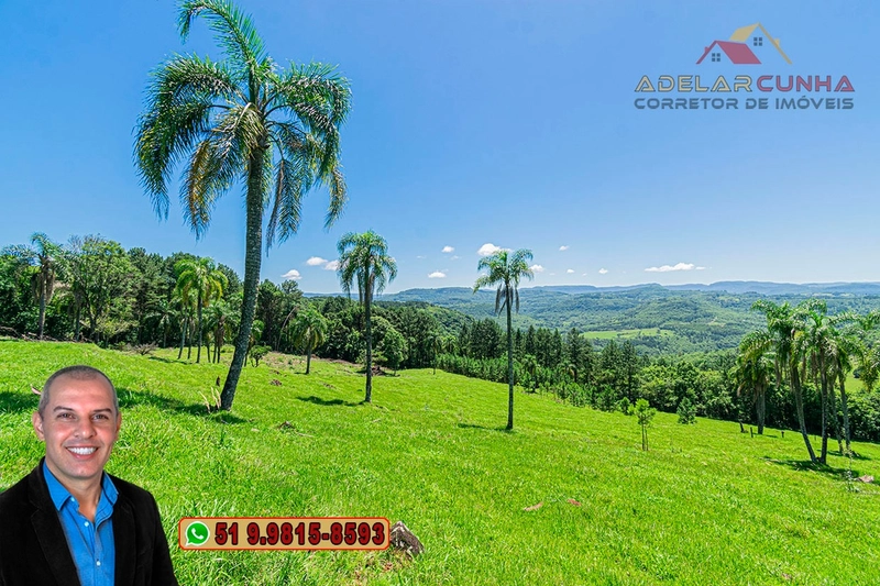 Sítio de 5.2 hectares à VENDA em Três Coroas - RS: 6ª foto da galeria de imagens do imóvel