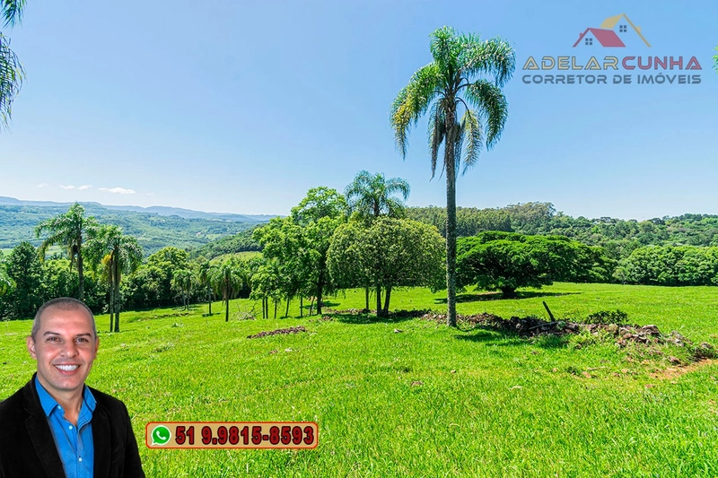 Sítio de 5.2 hectares à VENDA em Três Coroas - RS: 5ª foto da galeria de imagens do imóvel