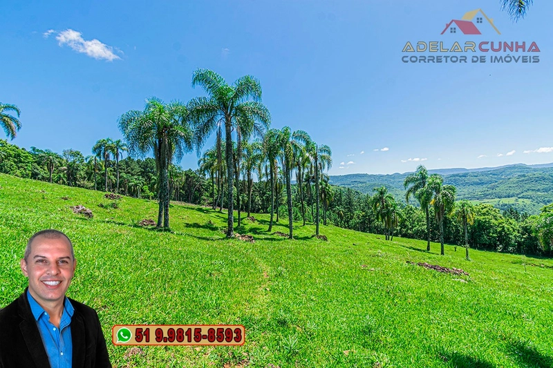 Sítio de 5.2 hectares à VENDA em Três Coroas - RS: 2ª foto da galeria de imagens do imóvel