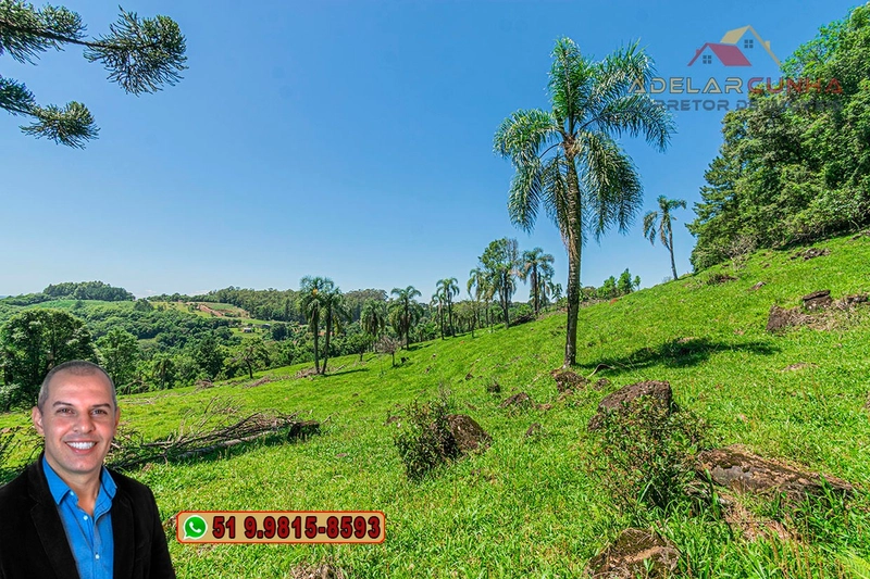 Sítio de 5.2 hectares à VENDA em Três Coroas - RS: 14ª foto da galeria de imagens do imóvel