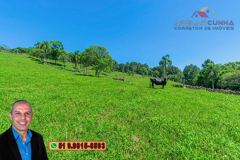 Sítio de 5.2 hectares à VENDA em Três Coroas - RS: 11ª foto da galeria de imagens do imóvel