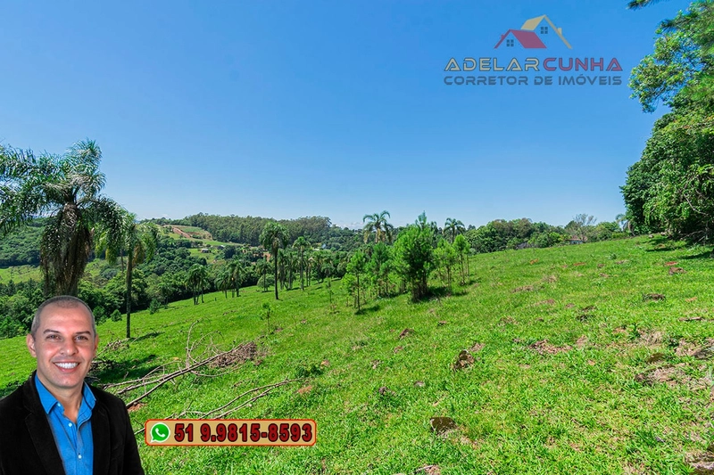 Sítio de 5.2 hectares à VENDA em Três Coroas - RS: 13ª foto da galeria de imagens do imóvel