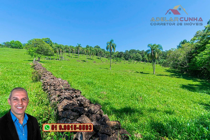 Sítio de 5.2 hectares à VENDA em Três Coroas - RS: 4ª foto da galeria de imagens do imóvel