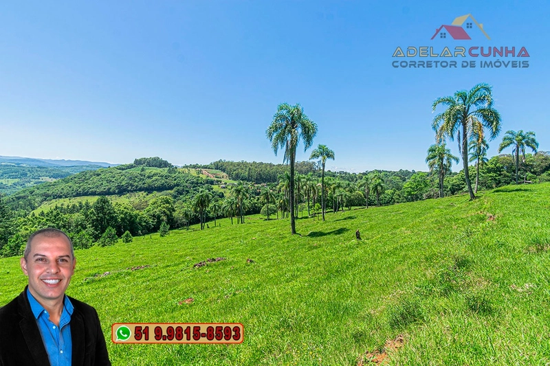 Sítio de 5.2 hectares à VENDA em Três Coroas - RS: 10ª foto da galeria de imagens do imóvel