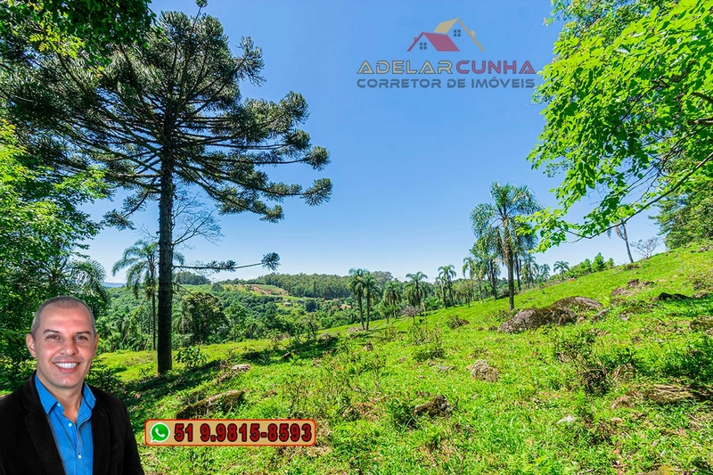 Sítio de 5.2 hectares à VENDA em Três Coroas - RS: 15ª foto da galeria de imagens do imóvel