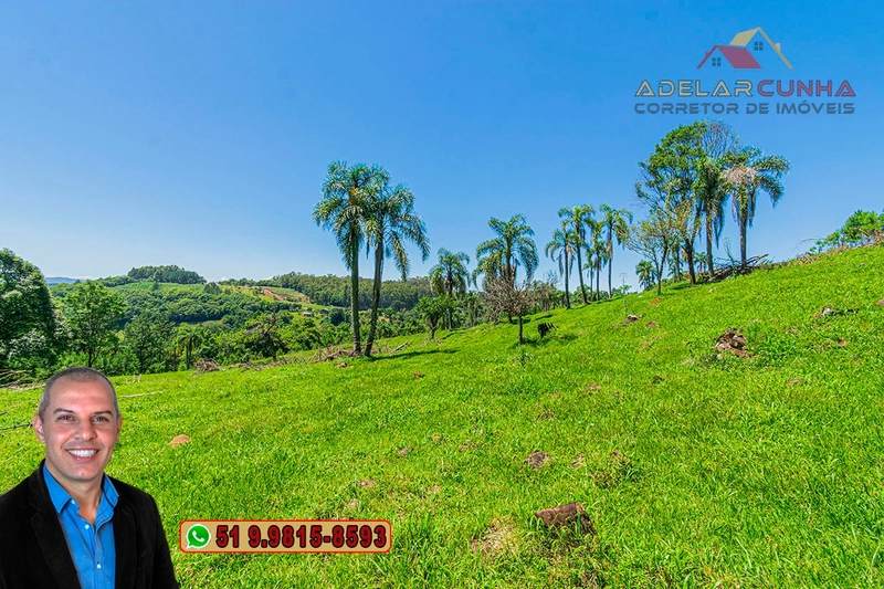 Sítio de 5.2 hectares à VENDA em Três Coroas - RS: 16ª foto da galeria de imagens do imóvel