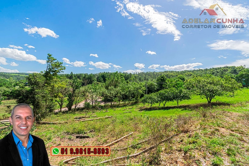 Chácara de 1.5 hectares à VENDA em Parobé - (Próximo a Santa Cristina): 9ª foto da galeria de imagens do imóvel