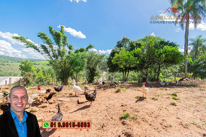 Chácara de 1.5 hectares à VENDA em Parobé - (Próximo a Santa Cristina): 13ª foto da galeria de imagens do imóvel