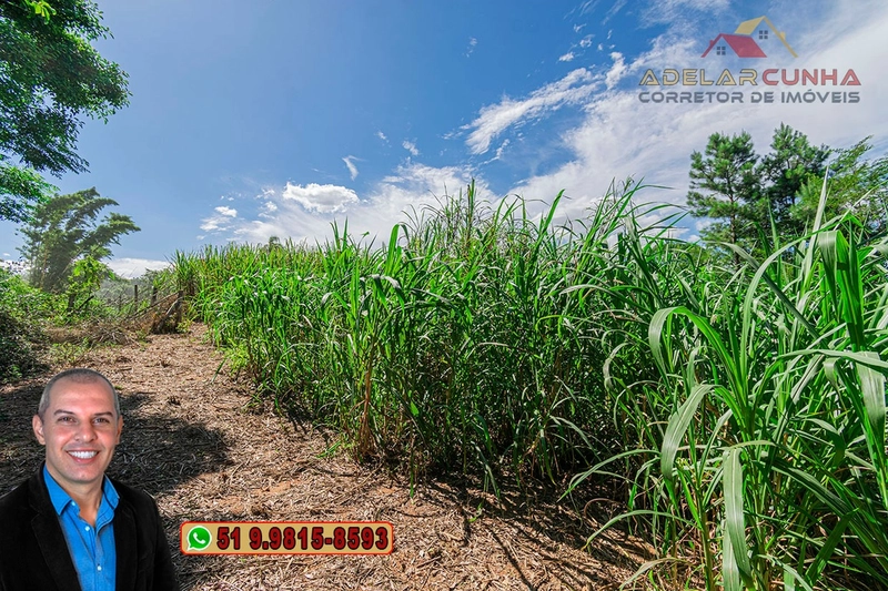 Chácara de 1.5 hectares à VENDA em Parobé - (Próximo a Santa Cristina): 26ª foto da galeria de imagens do imóvel