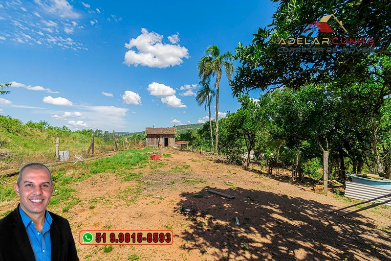 Chácara de 1.5 hectares à VENDA em Parobé - (Próximo a Santa Cristina): 16ª foto da galeria de imagens do imóvel