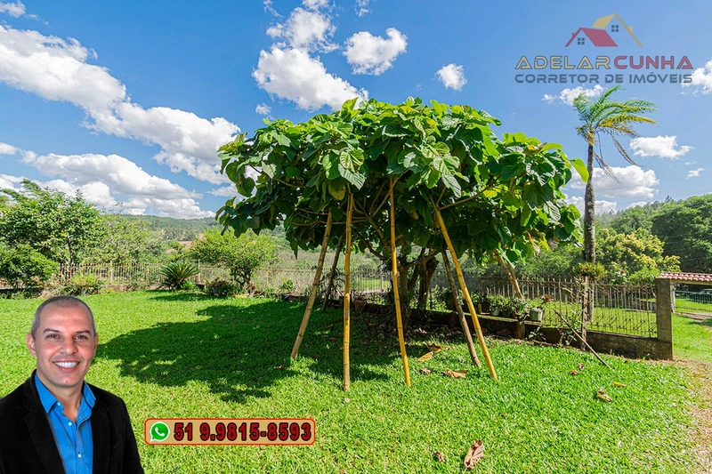 Chácara de 1.5 hectares à VENDA em Parobé - (Próximo a Santa Cristina): 29ª foto da galeria de imagens do imóvel