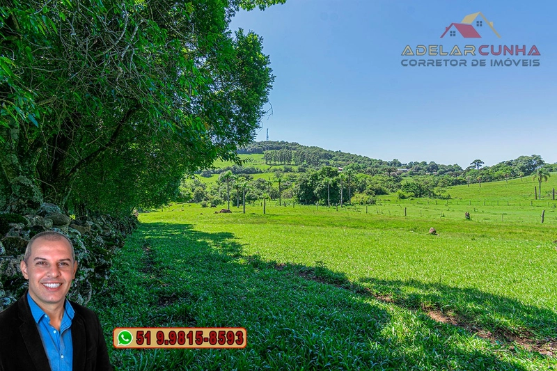 Chácara de 2.5 hectares à Venda em Igrejinha - RS: 14ª foto da galeria de imagens do imóvel