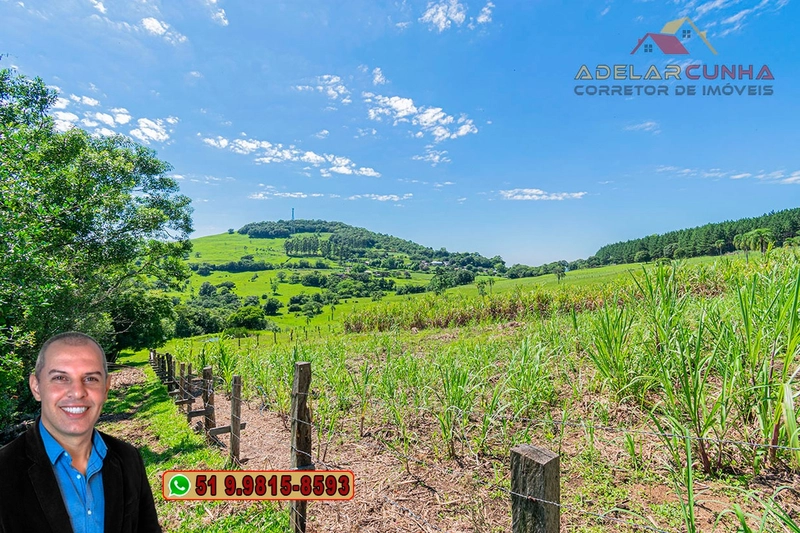 Chácara de 2.5 hectares à Venda em Igrejinha - RS: 32ª foto da galeria de imagens do imóvel