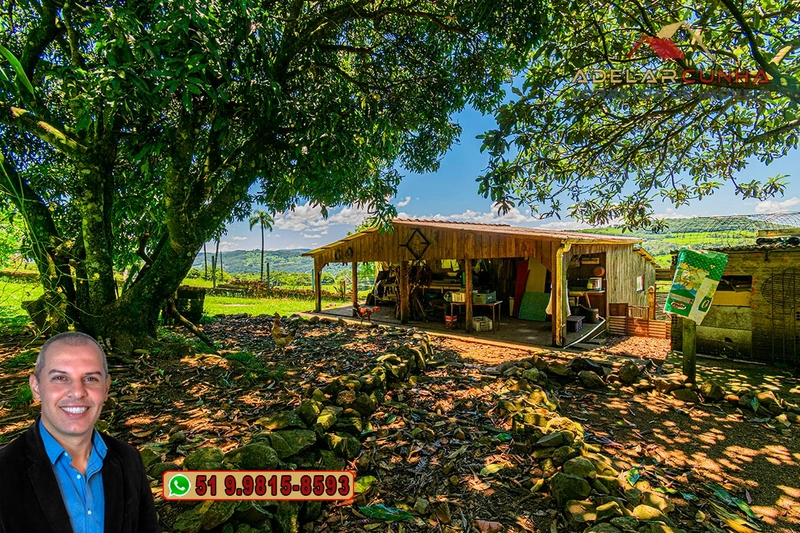Chácara de 2.5 hectares à Venda em Igrejinha - RS: 37ª foto da galeria de imagens do imóvel