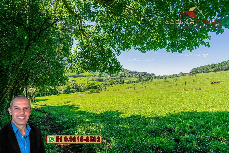 Chácara de 2.5 hectares à Venda em Igrejinha - RS: 31ª foto da galeria de imagens do imóvel