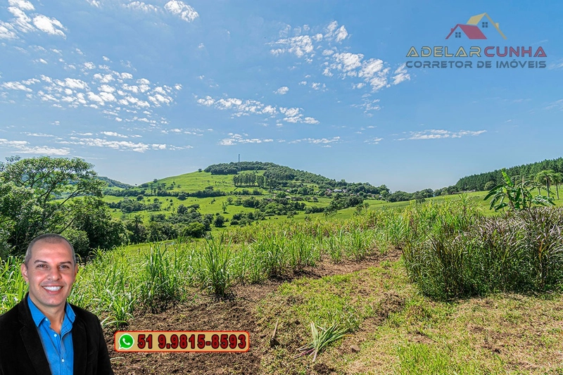 Chácara de 2.5 hectares à Venda em Igrejinha - RS: 33ª foto da galeria de imagens do imóvel