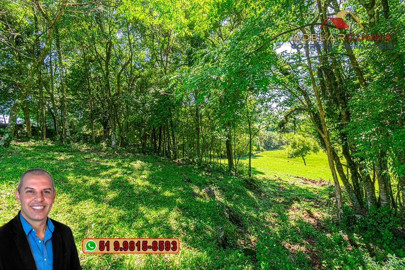 Chácara de 2.5 hectares à Venda em Igrejinha - RS: 9ª foto da galeria de imagens do imóvel