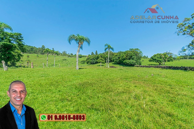 Chácara de 2.5 hectares à Venda em Igrejinha - RS: 17ª foto da galeria de imagens do imóvel