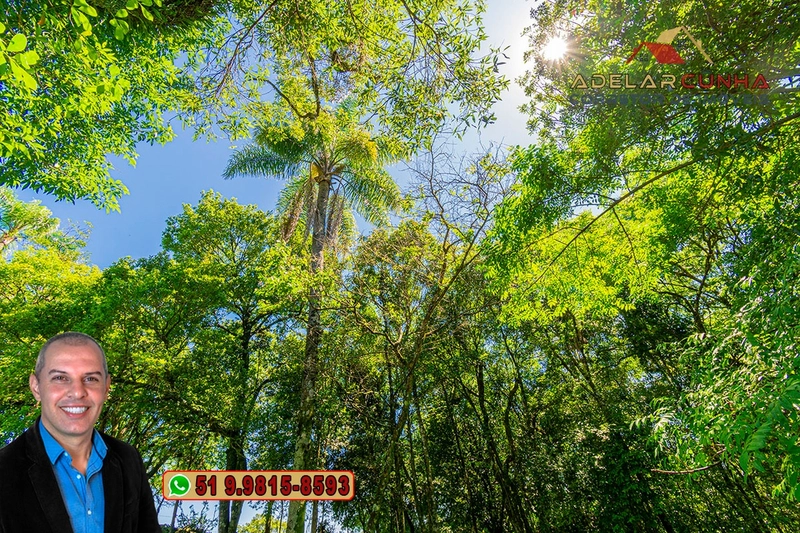 Chácara de 2.5 hectares à Venda em Igrejinha - RS: 8ª foto da galeria de imagens do imóvel